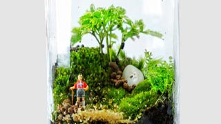 Open Jar Terrarium Open Jar Terrarium