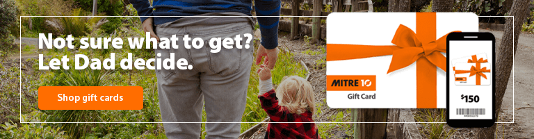 Not sure what to get? Let Dad decide