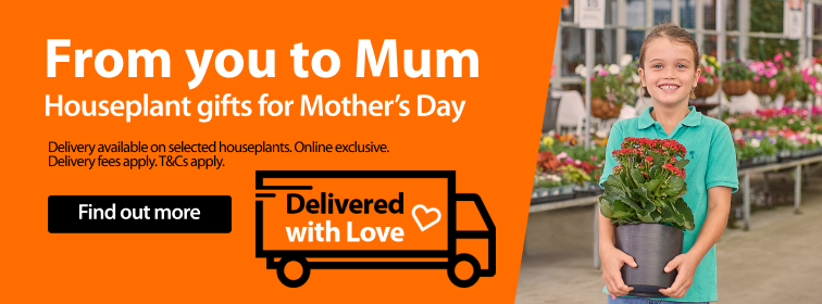 From you to mum, houseplant gifts for Mother's Day. Delivered with love