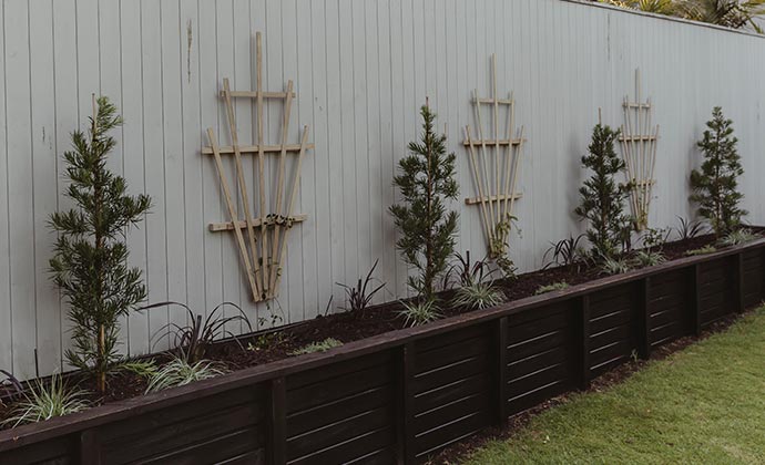 How to create a New Zealand native garden How to create a New Zealand native garden