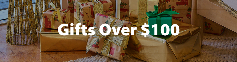 Christmas Gifts Over $100