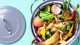 Composting Composting