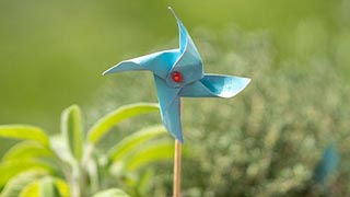 Garden Pinwheel Garden Pinwheel