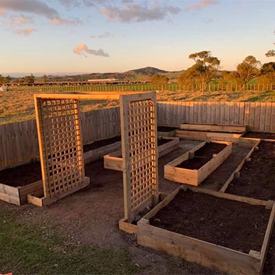 Narelle - Vege Garden
