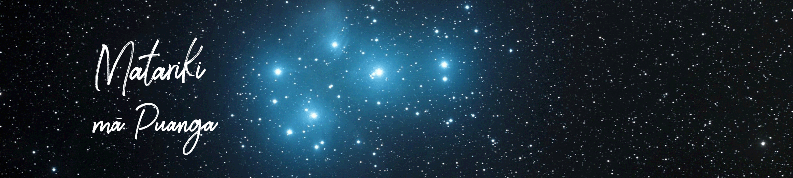 Celebrate Matariki mā Puanga.