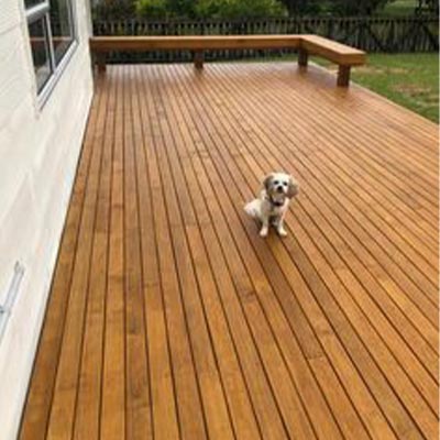 Ashleigh - Brand New Deck