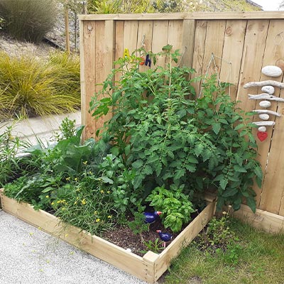 Gabriele - Vege Patch