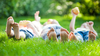 What’s eating your lawn? Dealing with Autumn Lawn pests.