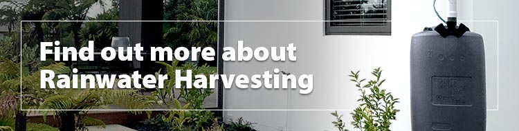 Rainwater-Harvesting-750x190px-SB.jpg Rainwater-Harvesting-750x190px-SB.jpg