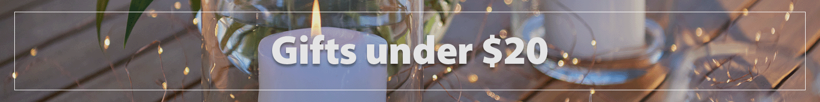 Shop Gifts Under $20