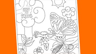 Spring Colouring In Sheet Spring Colouring In Sheet