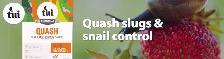 Half-SB-Tui-Slug-Snails.jpg