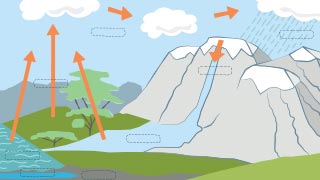 The Water Cycle - Watercare Activity Sheet The Water Cycle - Watercare Activity Sheet