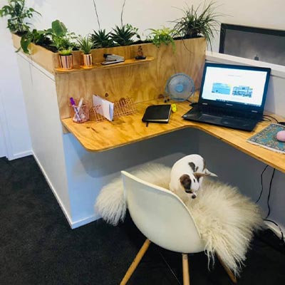 Cassandra - Home Office