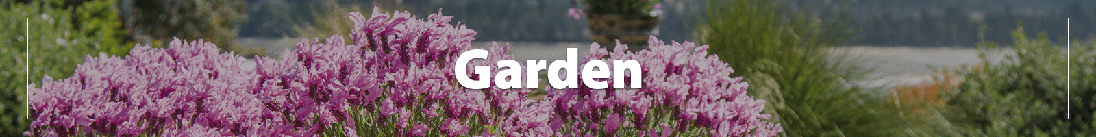 Garden Christmas Gifts