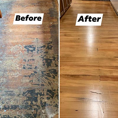 David - Revamped Floor