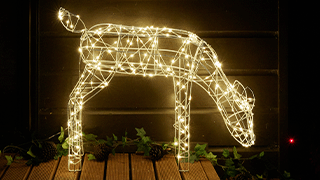 Solar Christmas Lights