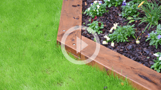 How to create wooden garden borders