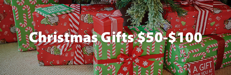 Christmas gifts under $100