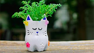 Plastic Bottle Planter Plastic Bottle Planter