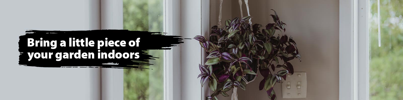 Indoor-Garden-Banner-Hanging-Plant.jpg