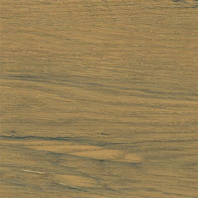 Lancelot Oak
