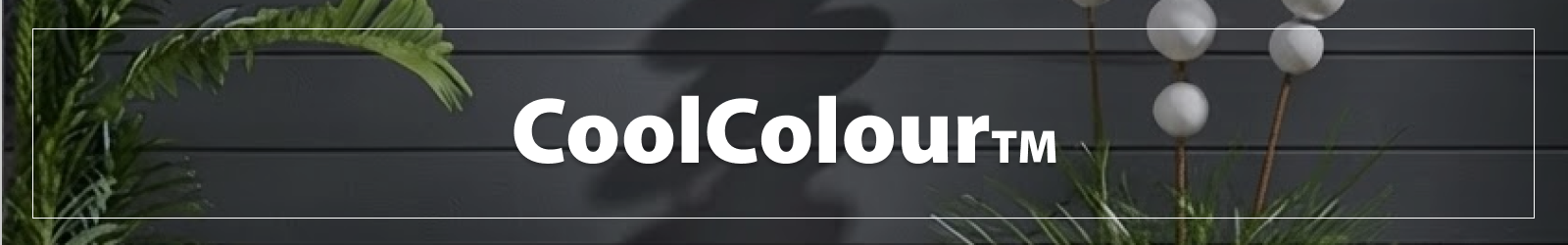 Resene CoolColourTM