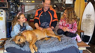 How to Build a Dog Bed How to Build a Dog Bed
