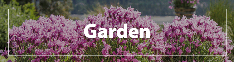Garden Christmas Gifts