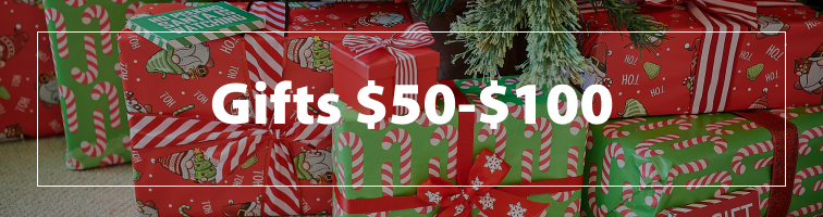 Christmas Gifts $50-$100