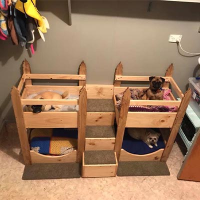 Pippa - Dog Bunk Beds