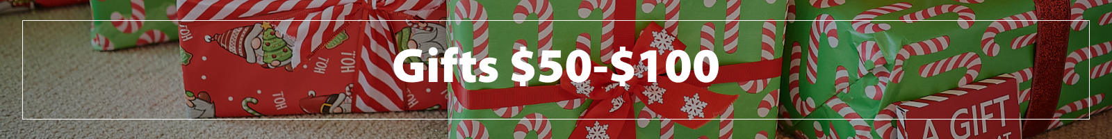 Christmas Gifts $50-$100