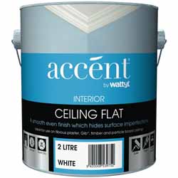 Ceiling Paint