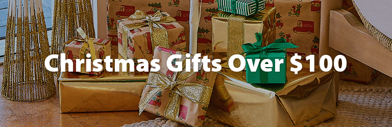 Christmas gifts over $100