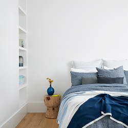 Accent Interior Wall Paint