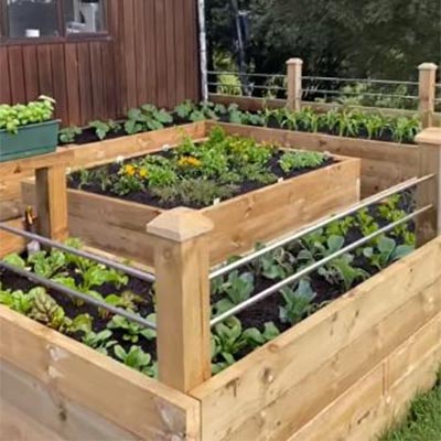 Rosie - Vege Patch