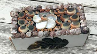 Shell or Pebble Jewellery Box Shell or Pebble Jewellery Box