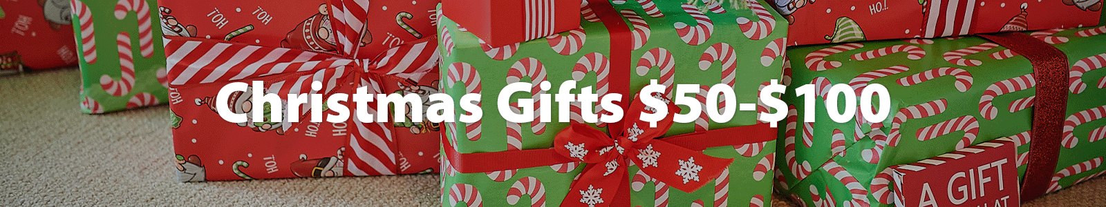 Christmas gifts under $100