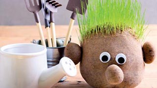Grass Head Mates Grass Head Mates