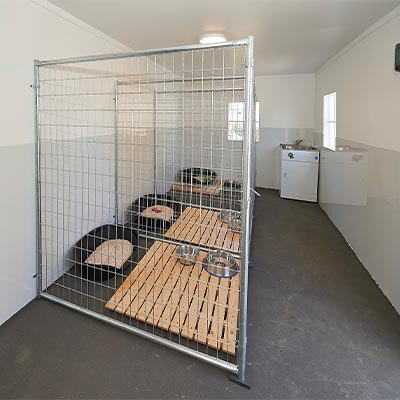 After - Pet friendly space