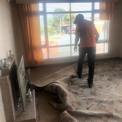 Floor Makeover - Ripping up the old carpet