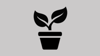 Plant Potting Service