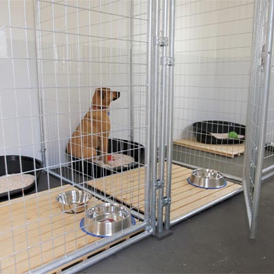 After - Pet friendly space