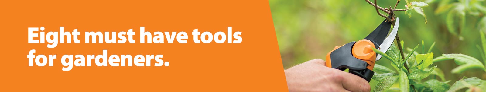 Eight-Must-Have-Tools-For-Gardeners.jpg