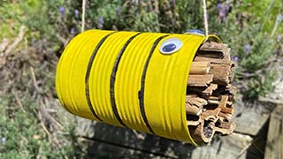 Bee Hotel Bee Hotel