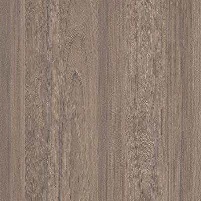 Dusky Elm