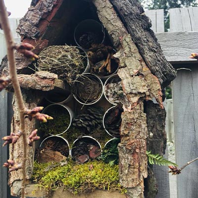 Caroline - Bug Hotel