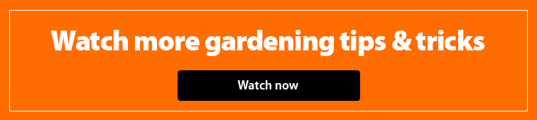 Discover More Gardening Tips & Tricks