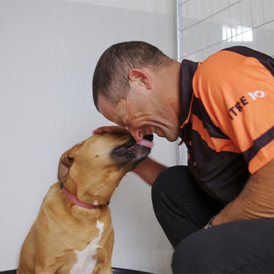 After - Pet friendly space