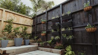 Backyard projects on a budget